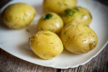 bir plaka tereyağı ve dereotu ile haşlanmış genç patates