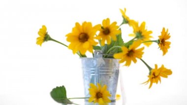 beyaz izole güzel çiçekaçan sarı papatyalar buket