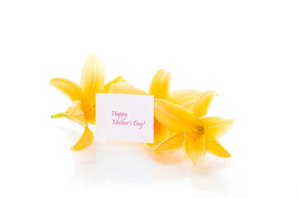 Beyaz izole sarı zambak yaz çiçek açan çiçekler — Stok fotoğraf