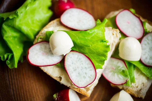 Sandwich mit Käse, Salat und Rettich auf einem hölzernen — Stockfoto