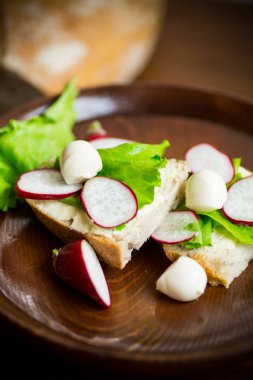 peynir, marul ve kırmızı turp ile sandviç ahşap