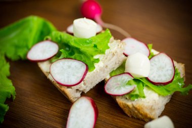 peynir, marul ve kırmızı turp ile sandviç ahşap