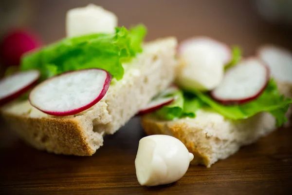 Sendvič se sýrem, salátem a červeným ředkvičem na dřevěném — Stock fotografie