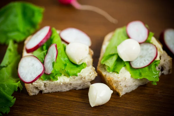 Sandwich mit Käse, Salat und Rettich auf einem hölzernen — Stockfoto