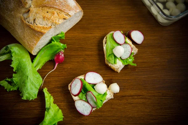 Sanduíche com queijo, alface e rabanete vermelho em uma madeira — Fotografia de Stock