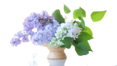 beyaz izole leylak bahar çiçeklenme buketi