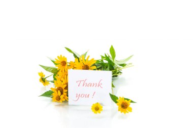 beyaz bir sarı büyük papatyalar buketi