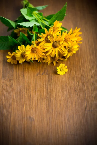 Bouquet of yellow big daisies on a wooden — Stock Photo, Image