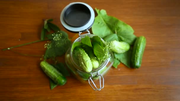 Cucumbers and spices with herbs for canning in a jar — Stock Video