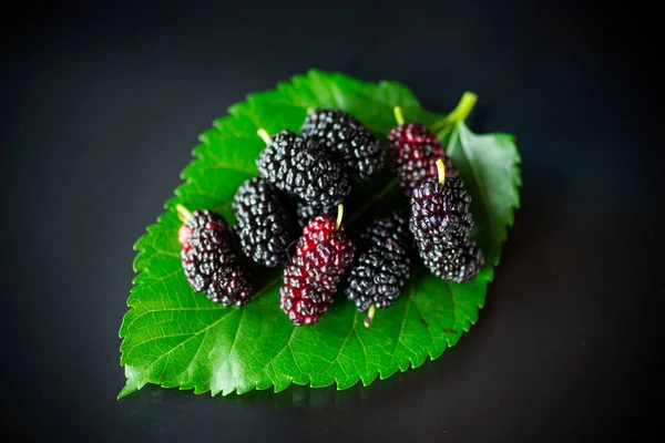 Mullbär med blad isolerad på svart bakgrund Stockbild