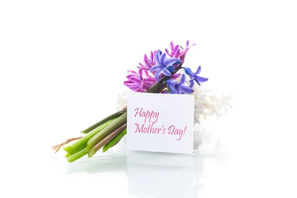 Spring beautiful flowers of hyacinth with congratulations for mom — Stock Photo, Image