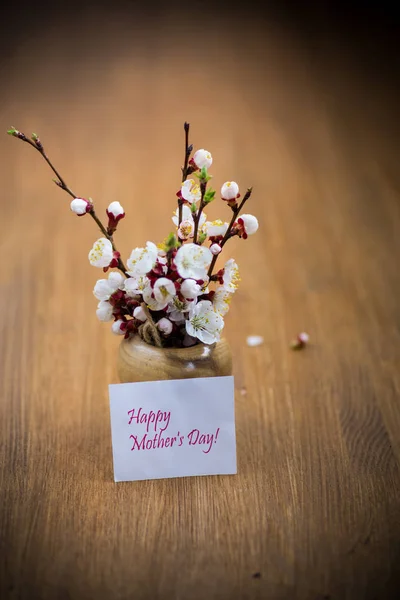 Tak met abrikoos bloemen op een donkere achtergrond — Stockfoto