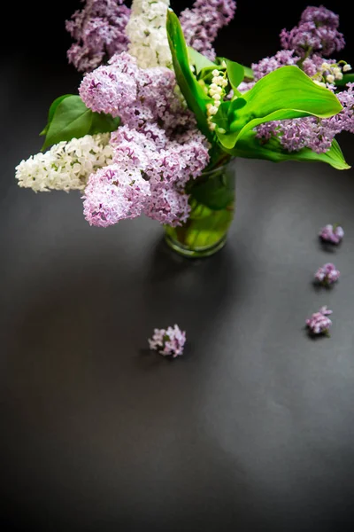 Beautiful spring branches of lilac on a black — Stock Photo, Image