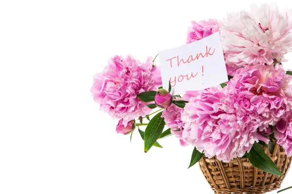 Bouquet of blooming peonies on white background — Stock Photo, Image