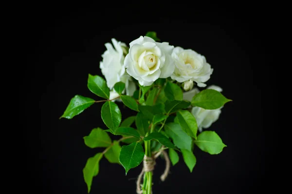 검은 색에 아름다운 흰색 장미의 꽃다발 — 스톡 사진