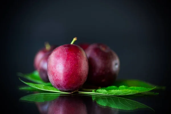 Ciruela de cereza madura roja orgánica aislada en negro — Foto de Stock