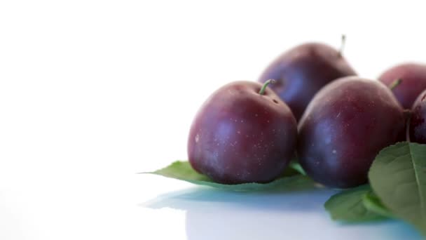 Organic red ripe cherry plum isolated on white — Stock Video