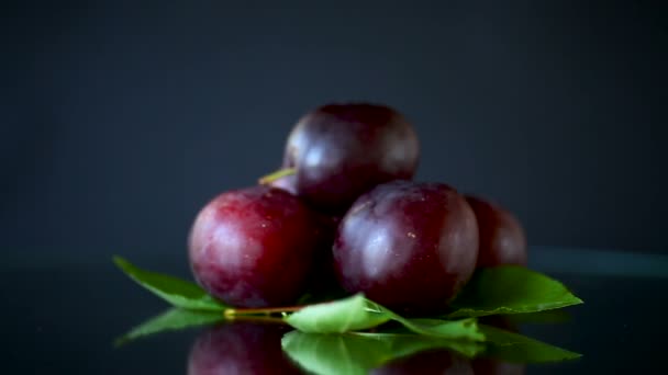 Ciruela de cereza madura roja orgánica aislada en negro — Vídeos de Stock