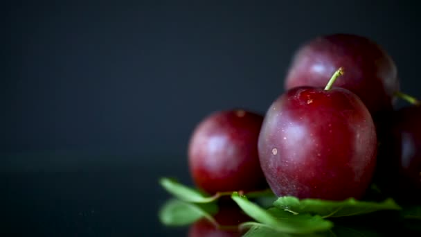 Ciruela de cereza madura roja orgánica aislada en negro — Vídeos de Stock