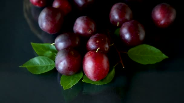 Bio rote reife Kirschpflaume isoliert auf schwarz — Stockvideo