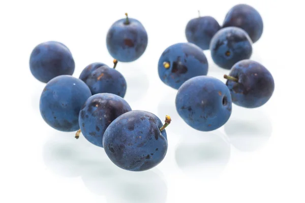 Ripe juicy plum isolated on a white background — Stock Photo, Image