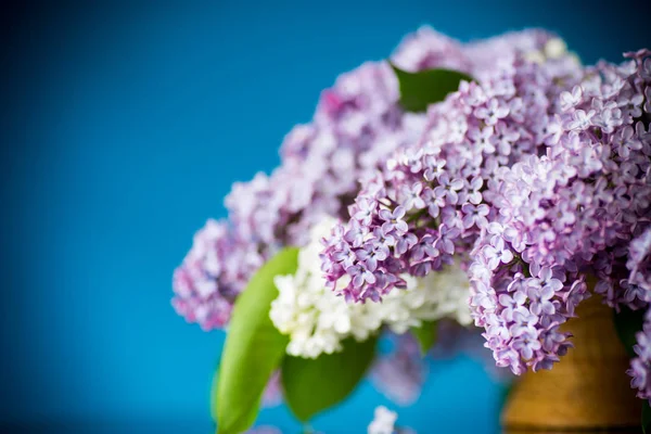 Spring blooming bouquet of lilac in a basket — Stock Photo, Image