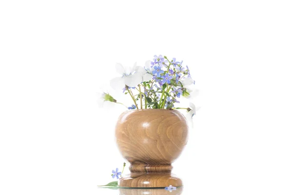 Άνοιξη μικρά λευκά και μπλε λουλούδια απομονώνονται σε λευκό — Φωτογραφία Αρχείου