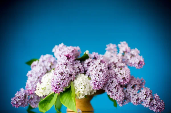 Spring blooming bouquet of lilac in a basket — Stock Photo, Image