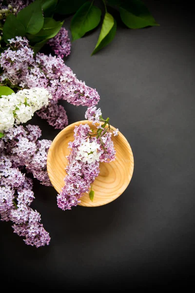 Beautiful spring branches of lilac on a black — Stock Photo, Image