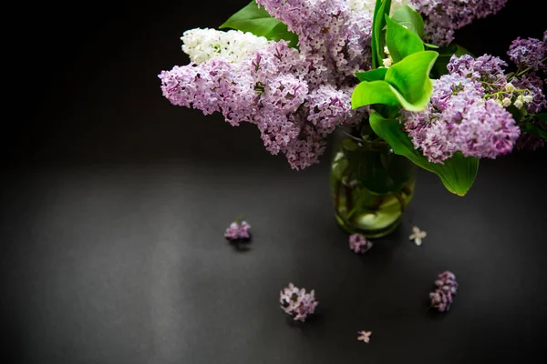 Beautiful spring branches of lilac on a black — Stock Photo, Image