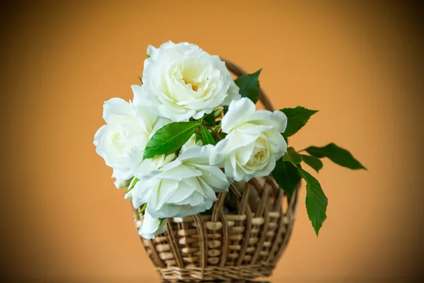 Bouquet of beautiful white roses on a orange — Stock Photo, Image