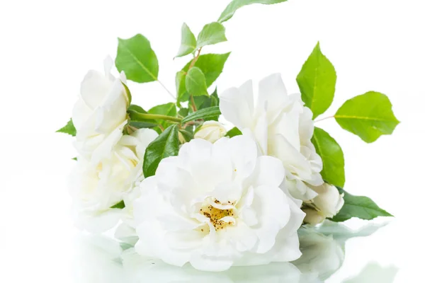 Bouquet di belle rose bianche isolate su bianco — Foto Stock