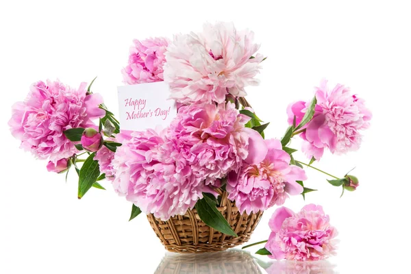 Bouquet of blooming peonies on white background — Stock Photo, Image
