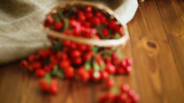 Ripe red dogrose in a basket on a wooden — Stock Video