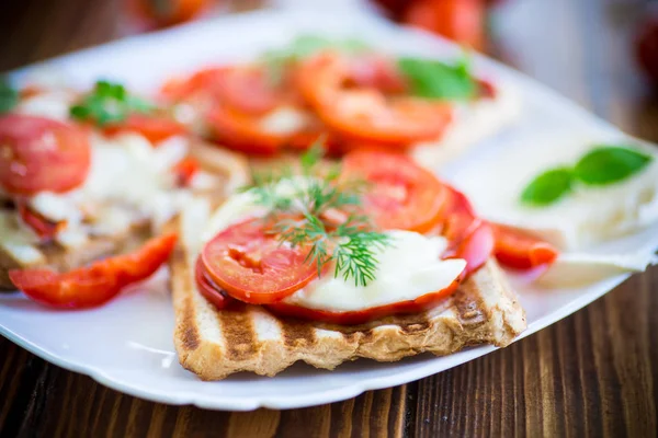 Fechar de um sanduíche fresco com mussarela, tomates — Fotografia de Stock