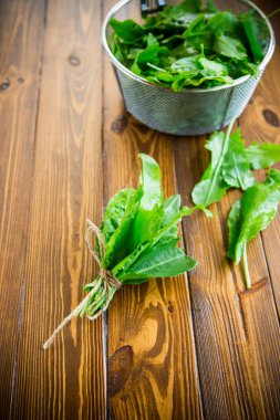 organik taze yeşil sorrel demet, bir masada.