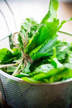 organik taze yeşil sorrel demet, bir masada.