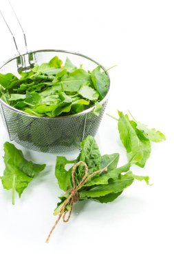 beyaz arka plan üzerinde organik taze yeşil sorrel demet.