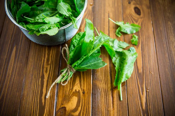 organik taze yeşil sorrel demet, bir masada.