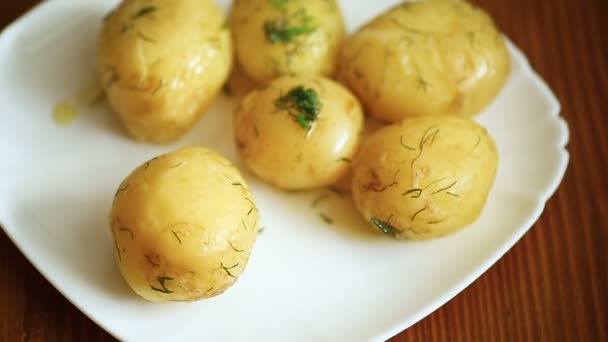 Boiled young potato with butter and dill in a plate — Stock Video