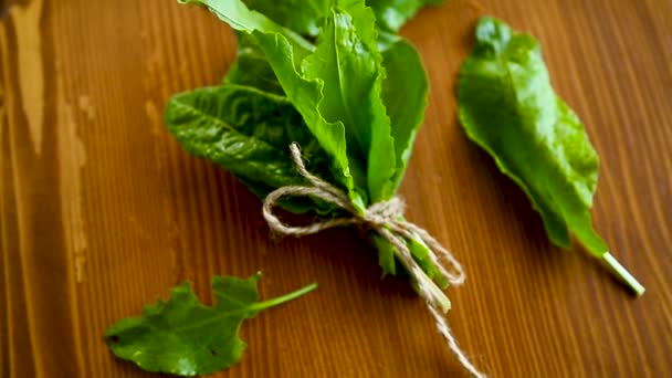 Racimo de acedera verde fresca orgánica, sobre una mesa . — Vídeos de Stock