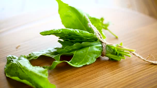Bunch of organic fresh green sorrel, on a table. — Stock Footage Bunch of organic fresh green sorrel, on a table. Royalty Free Stock Footage