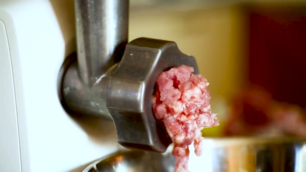 An electric meat grinder twists the meat — Stock Video