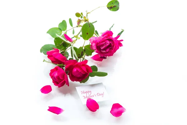 Μπουκέτο όμορφα κόκκινα τριαντάφυλλα σε ένα λευκό — Φωτογραφία Αρχείου