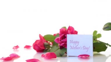 beyaz bir güzel kırmızı gül buketi