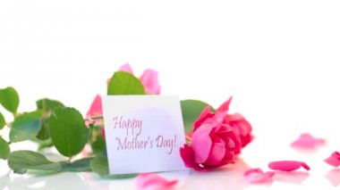 beyaz bir güzel kırmızı gül buketi