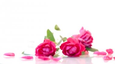 beyaz bir güzel kırmızı gül buketi