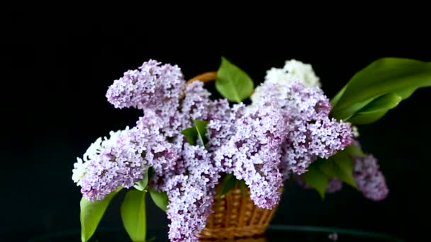 Spring blooming bouquet of lilac in a basket — Stock Video