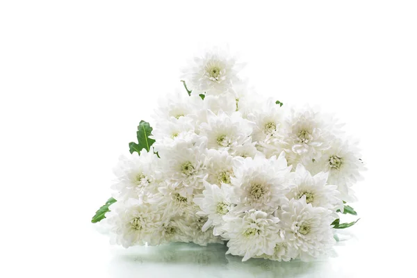 Strauß weißer Chrysanthemen isoliert auf einem weißen — Stockfoto