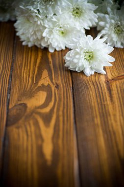 ahşap masa üzerinde beyaz krizantem buketi